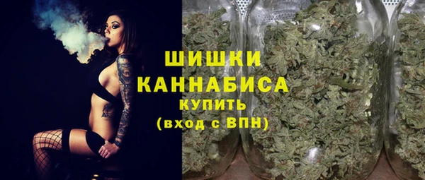 крисы Бронницы