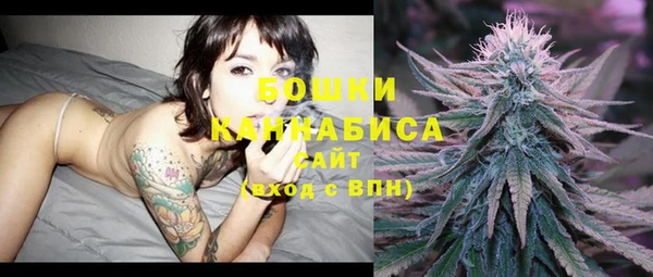 крисы Бронницы