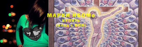 крисы Бронницы
