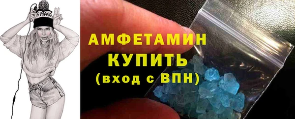 крисы Бронницы